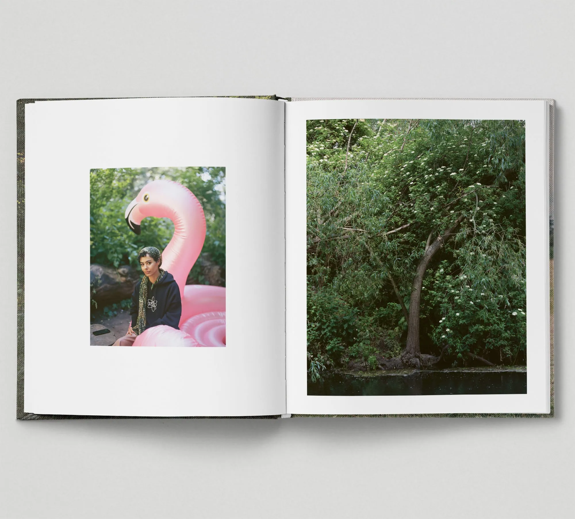 Limited edition print (B)   book: 'The Hackney Marshes'