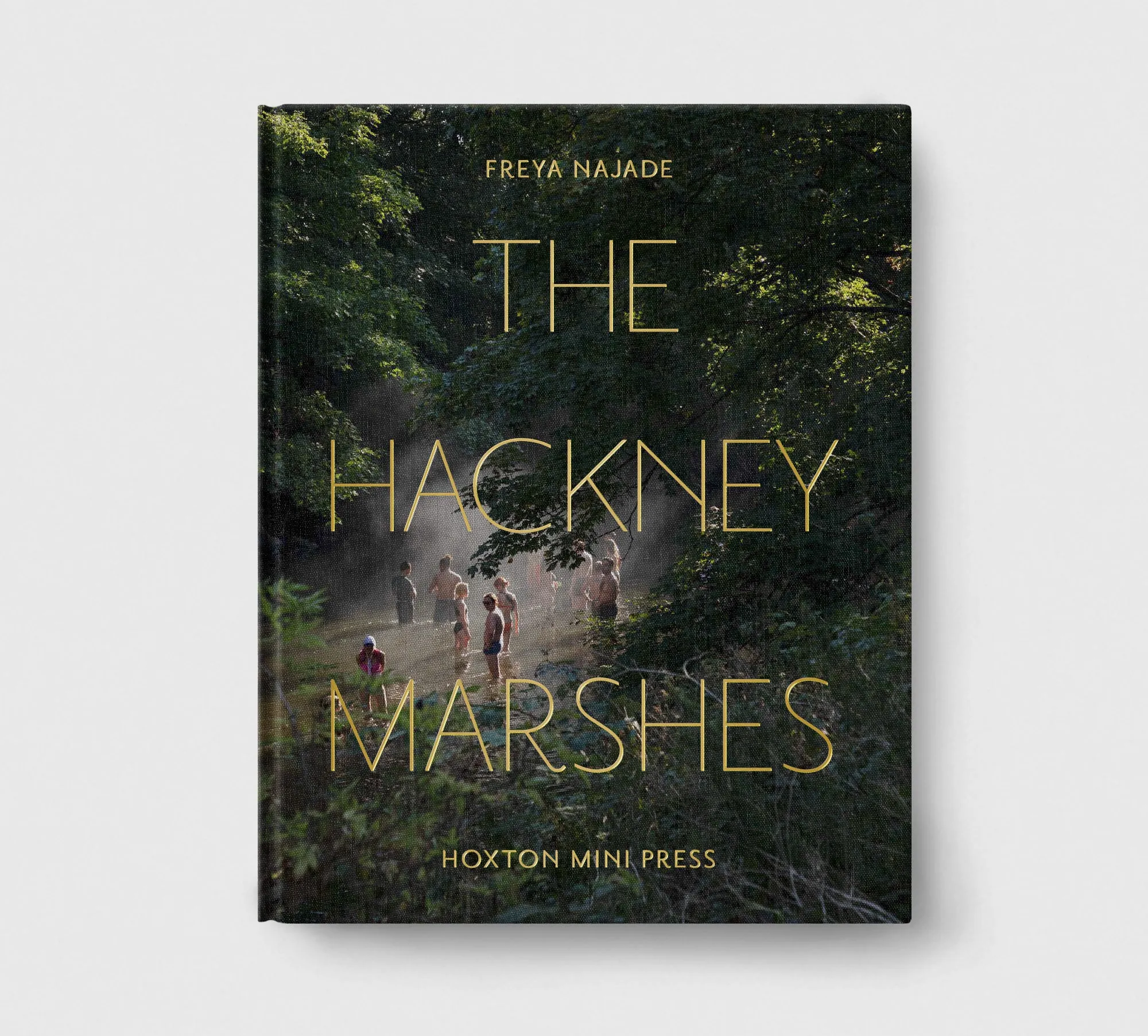 Limited edition print (B)   book: 'The Hackney Marshes'