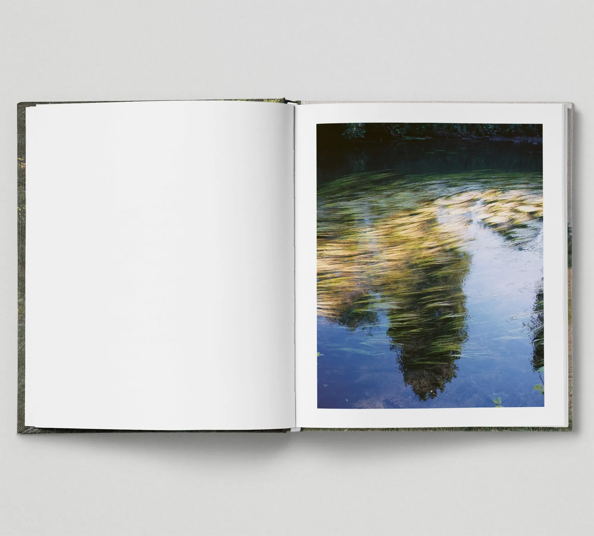 Limited edition print (B)   book: 'The Hackney Marshes'