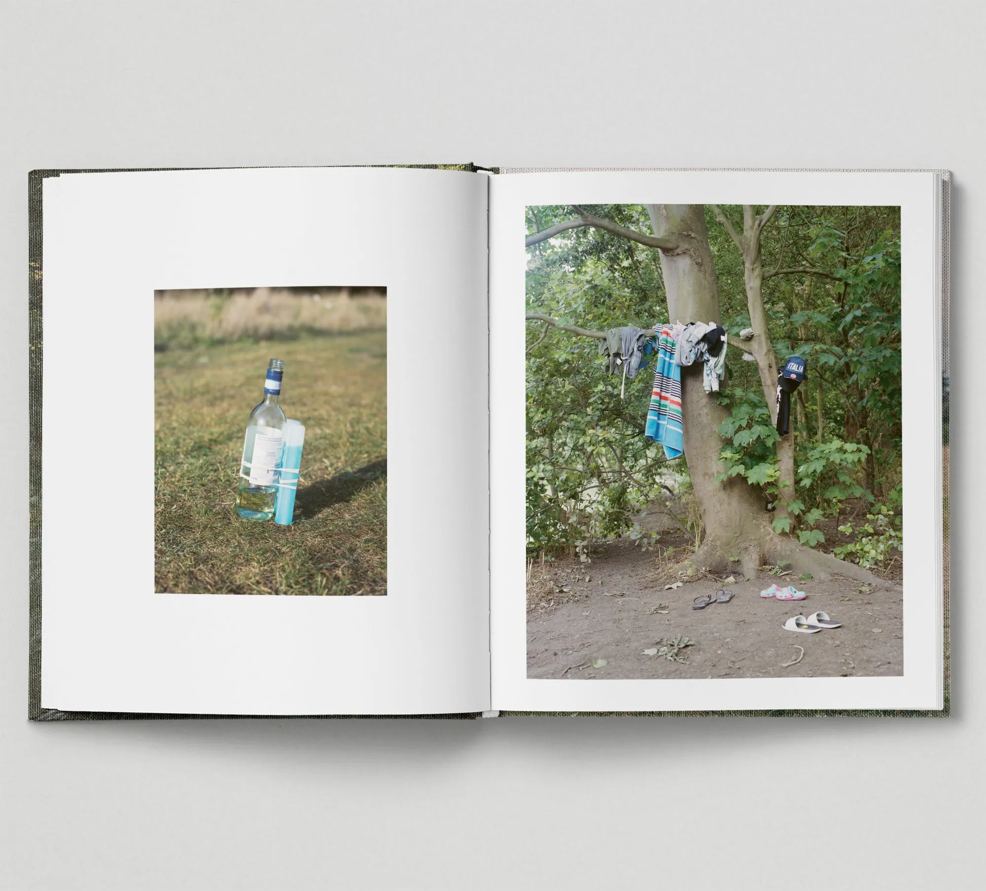 Limited edition print (B)   book: 'The Hackney Marshes'