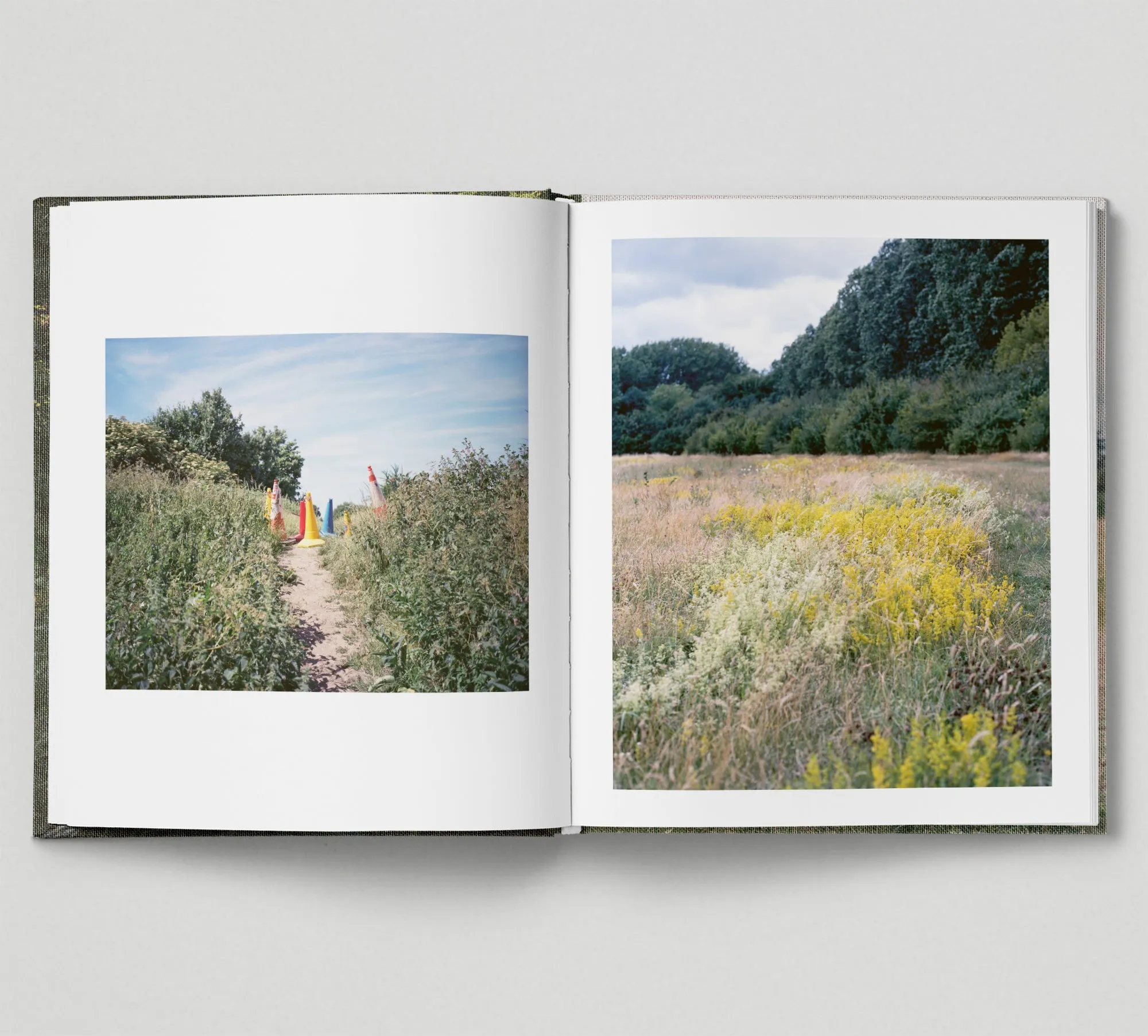 Limited edition print (B)   book: 'The Hackney Marshes'