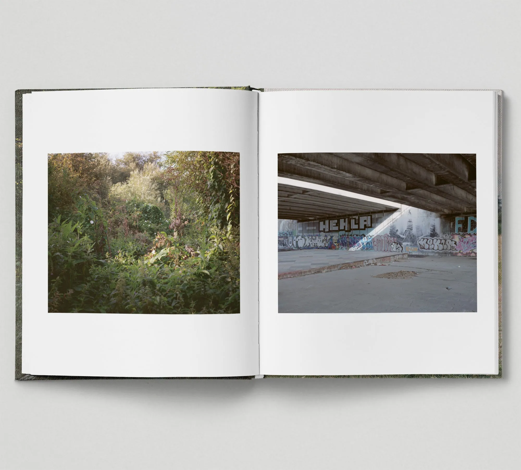 Limited edition print (B)   book: 'The Hackney Marshes'