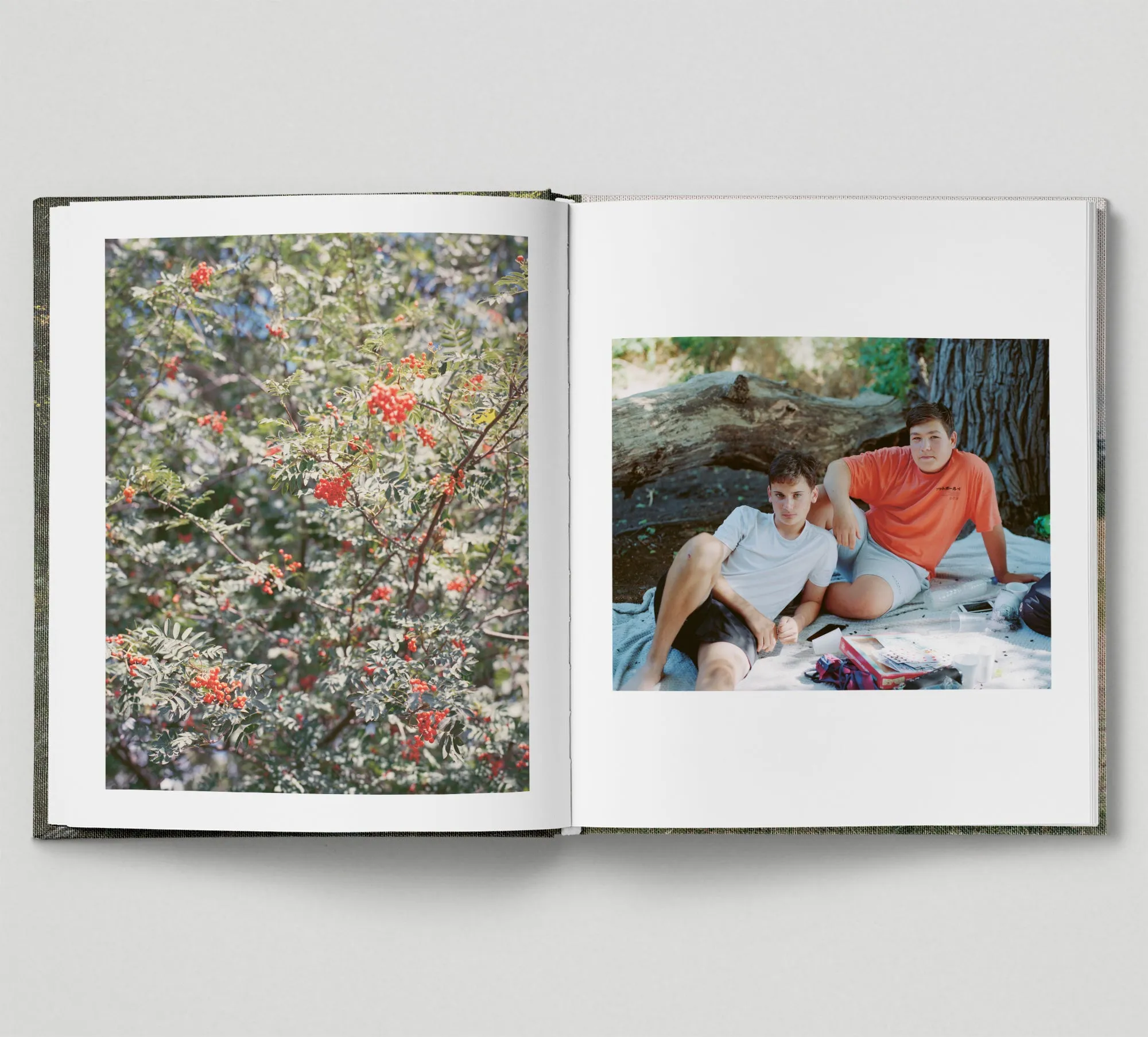 Limited edition print (B)   book: 'The Hackney Marshes'
