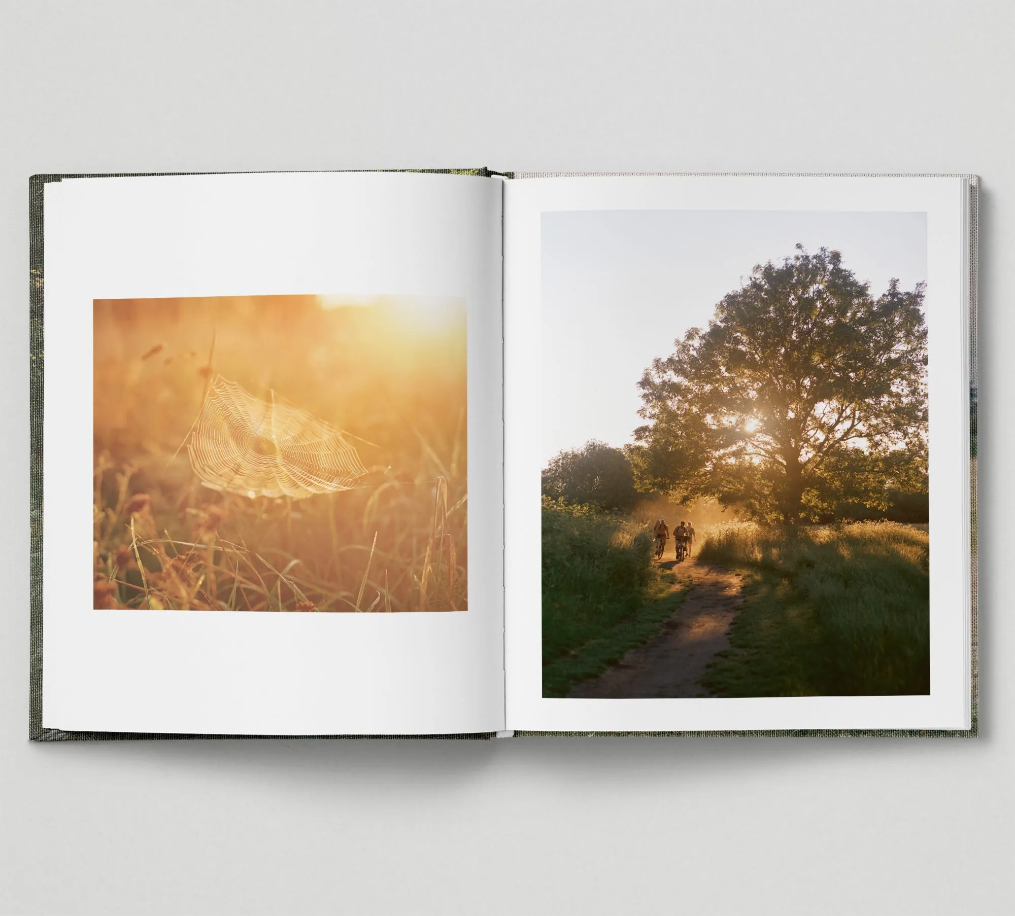 Limited edition print (B)   book: 'The Hackney Marshes'