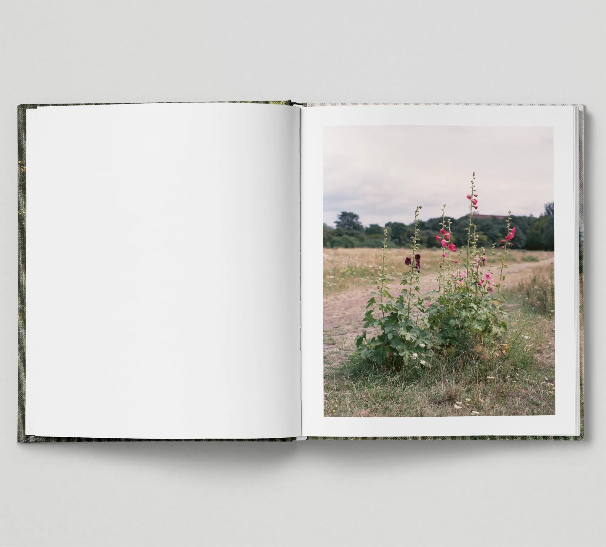 Limited edition print (B)   book: 'The Hackney Marshes'